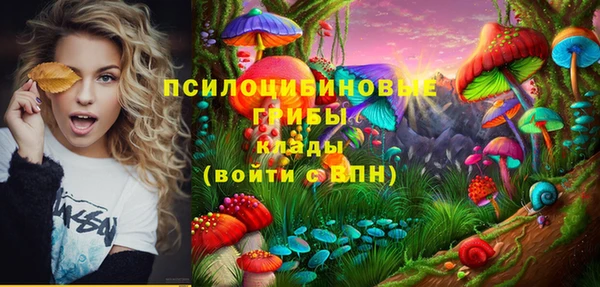 кокаин Алексеевка