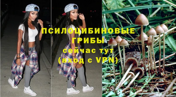 дурь Абаза