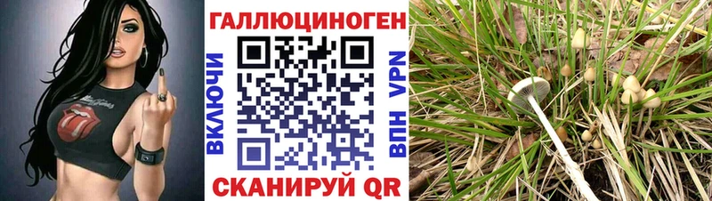Псилоцибиновые грибы ЛСД  Черемхово 