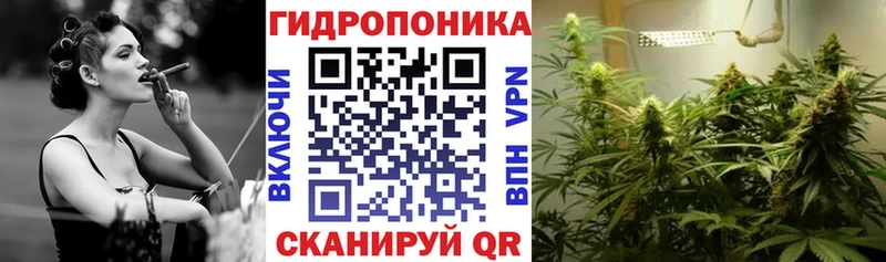 блэк спрут зеркало  купить наркоту  Черемхово  Шишки марихуана ГИДРОПОН 